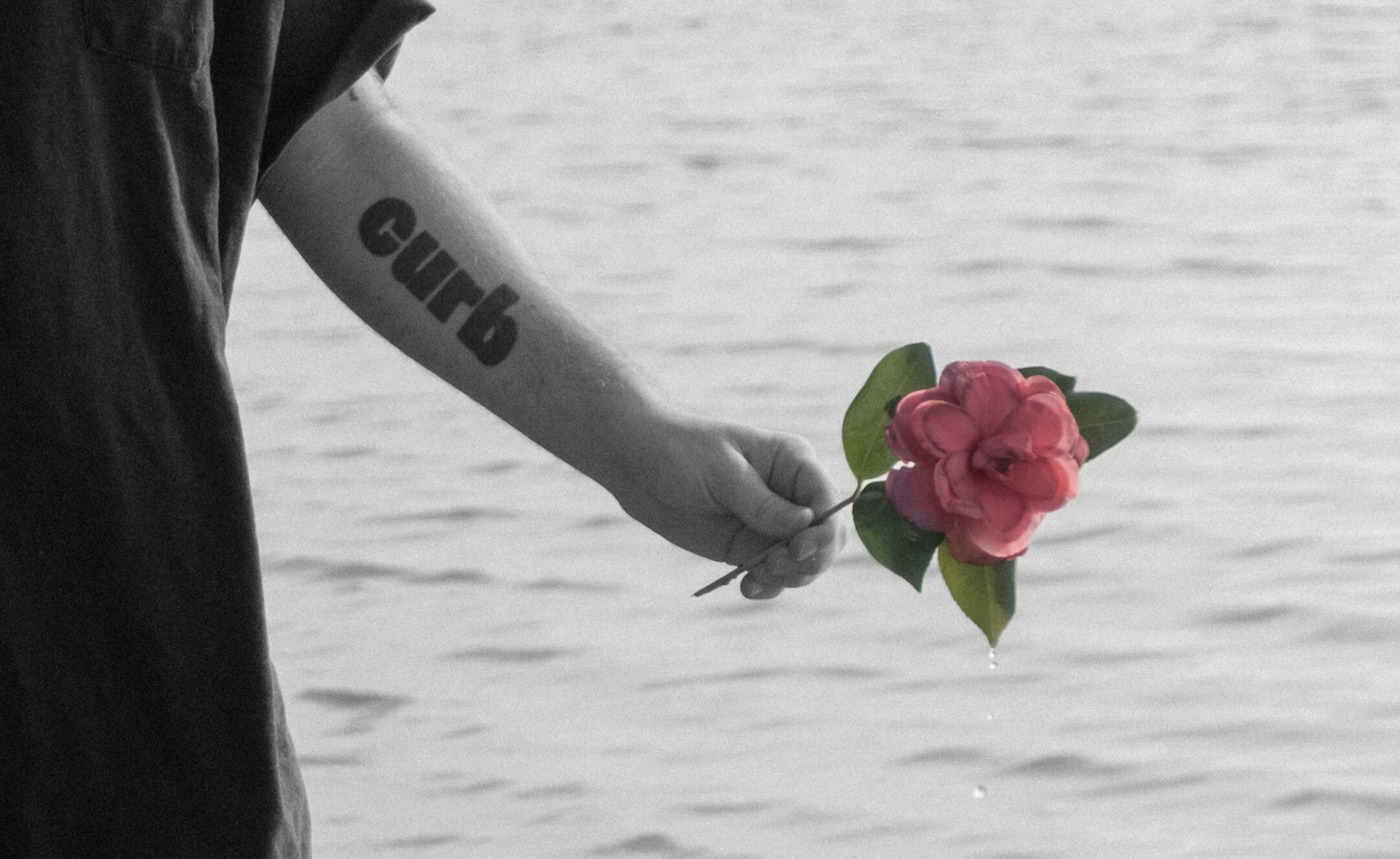 A mostly black and white photo of a hand holding a large pink flower with five large green leaves. The person's arm has a large tattoo across their forearm that reads "curb." Behind them is a body of water.