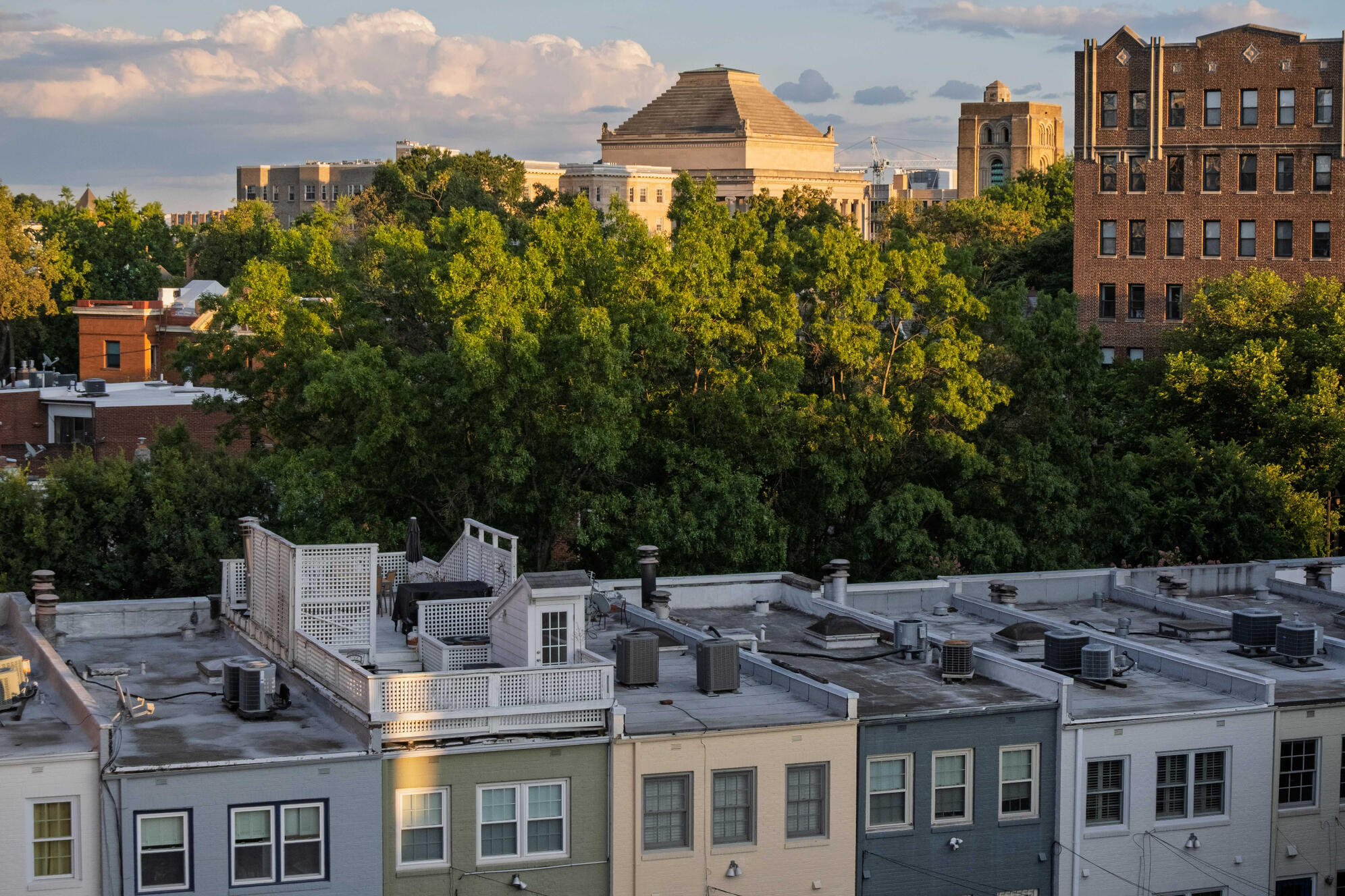 A wide shot of the rooftops of several connected rowhomes. Behind them are large, lush trees, and more buildings further behind them.