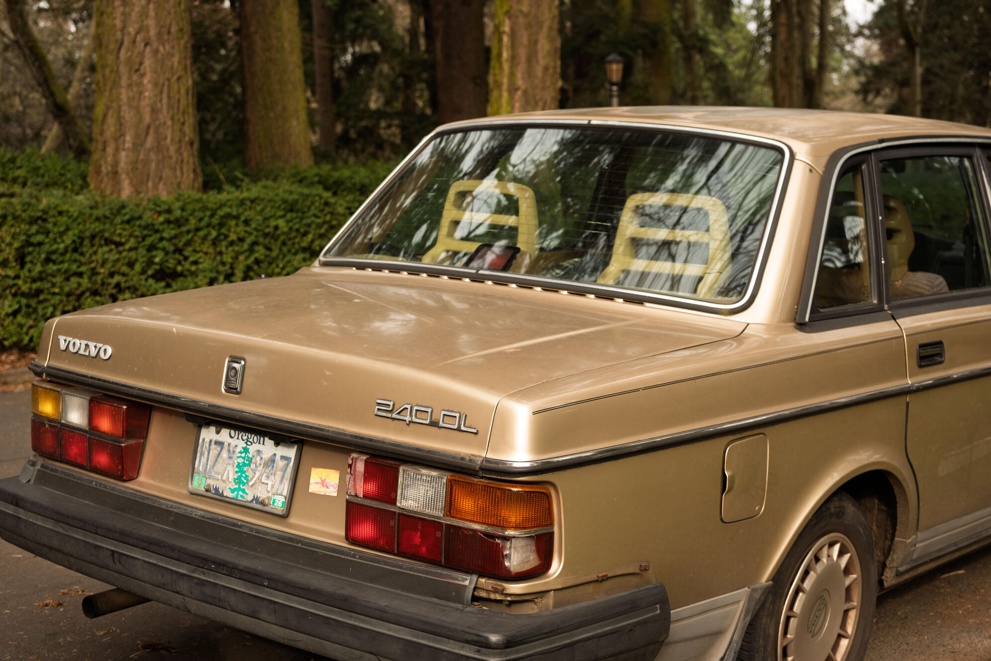 car at the park, portland or